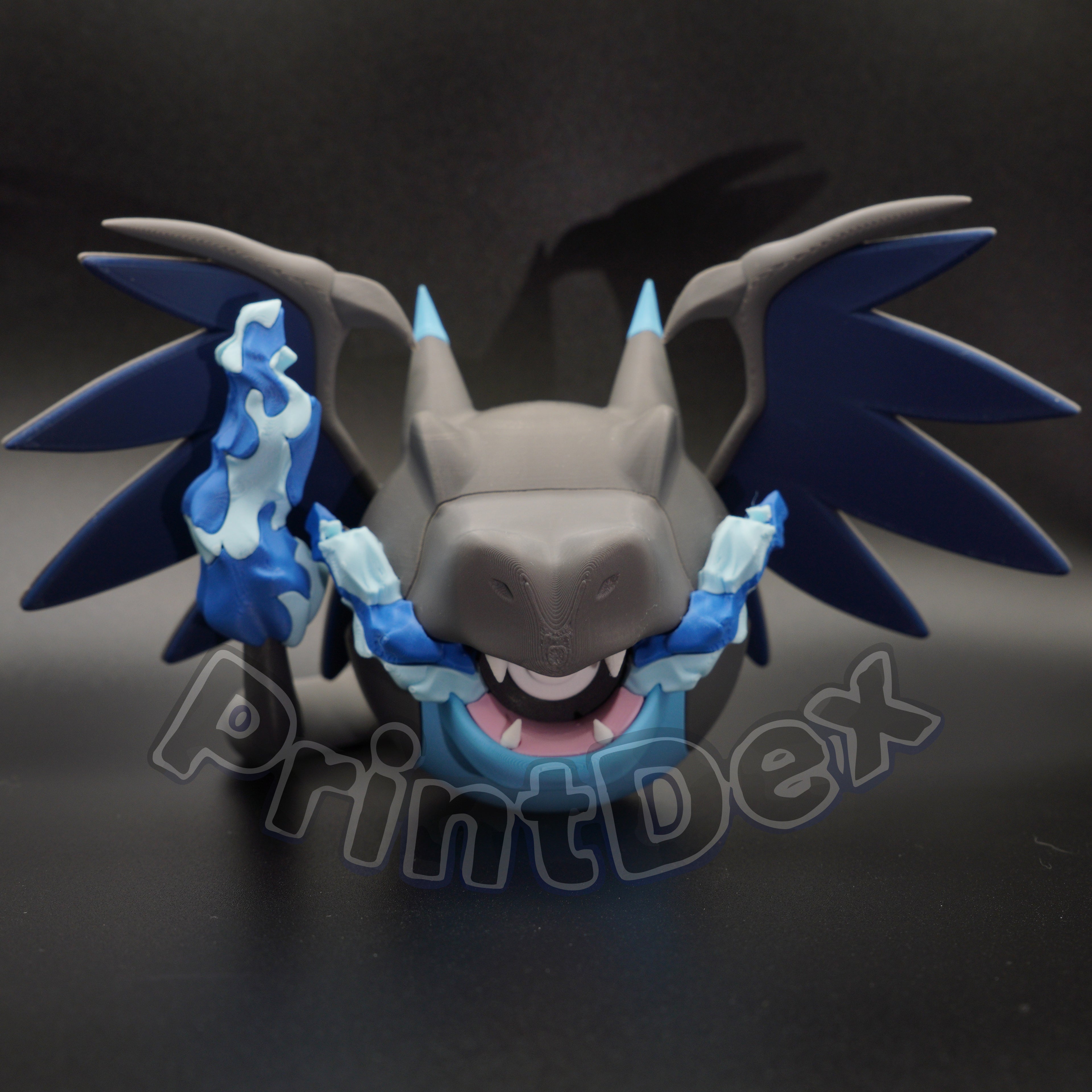 #0006 Mega Charizard X