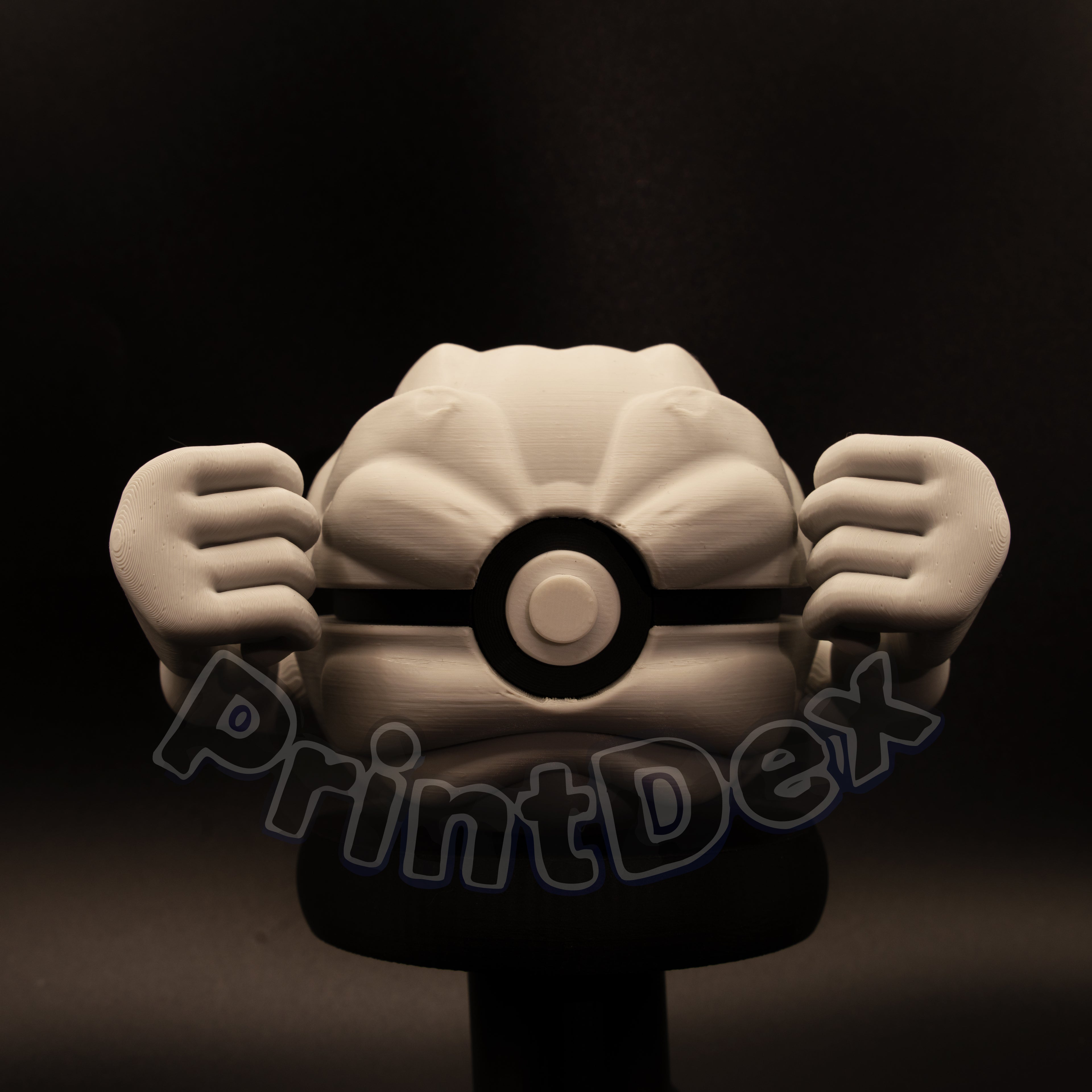 #074 Geodude