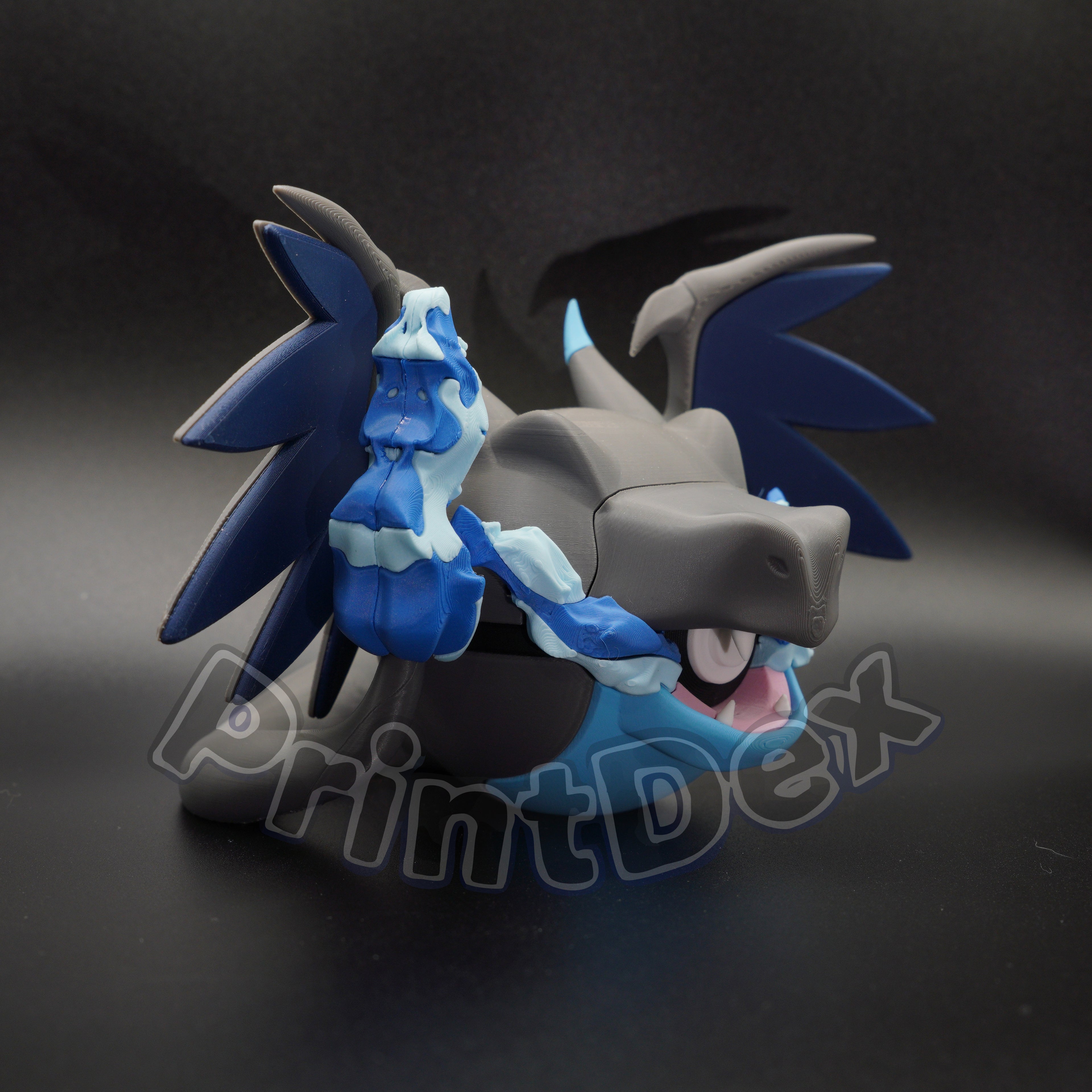 #0006 Mega Charizard X