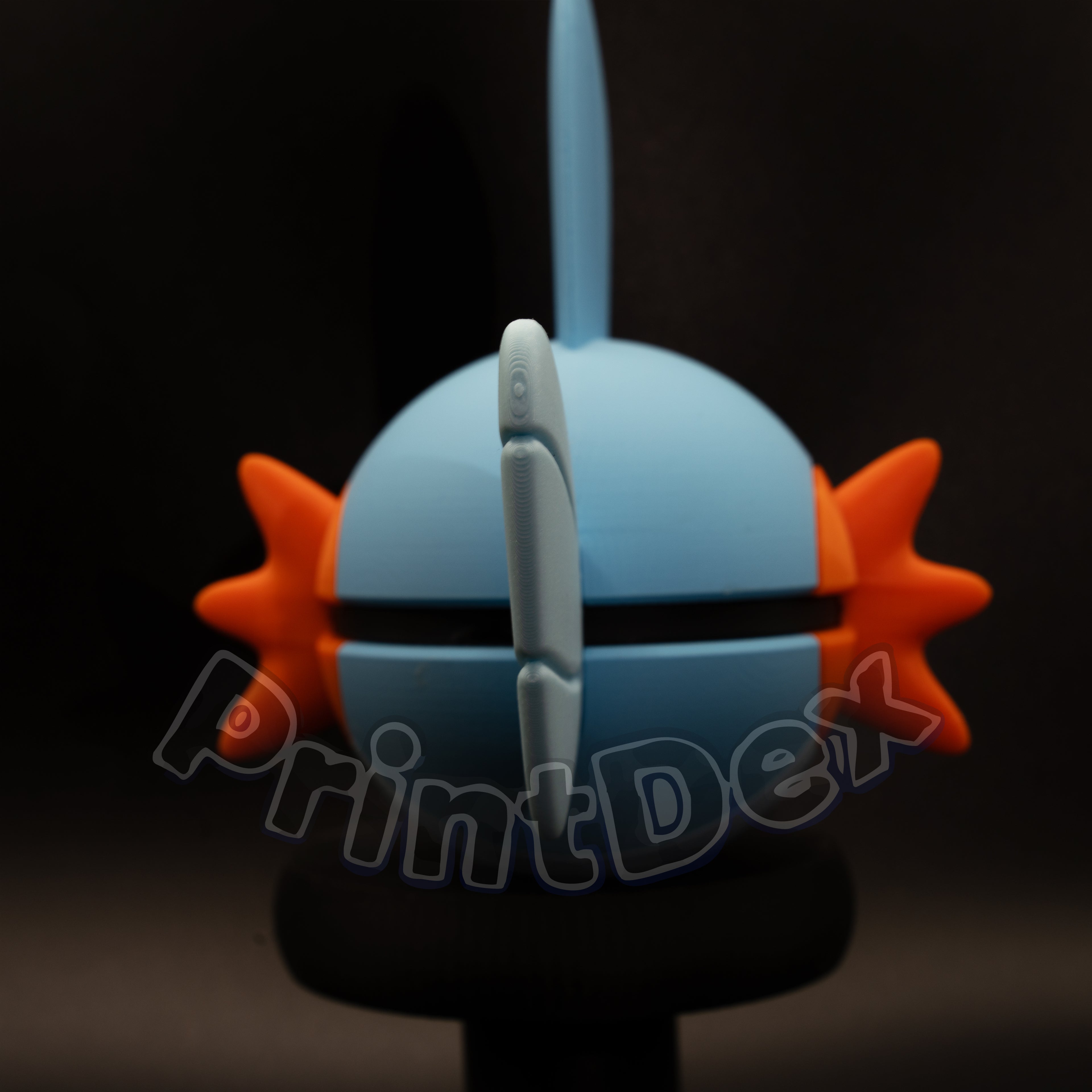 #0258 Mudkip