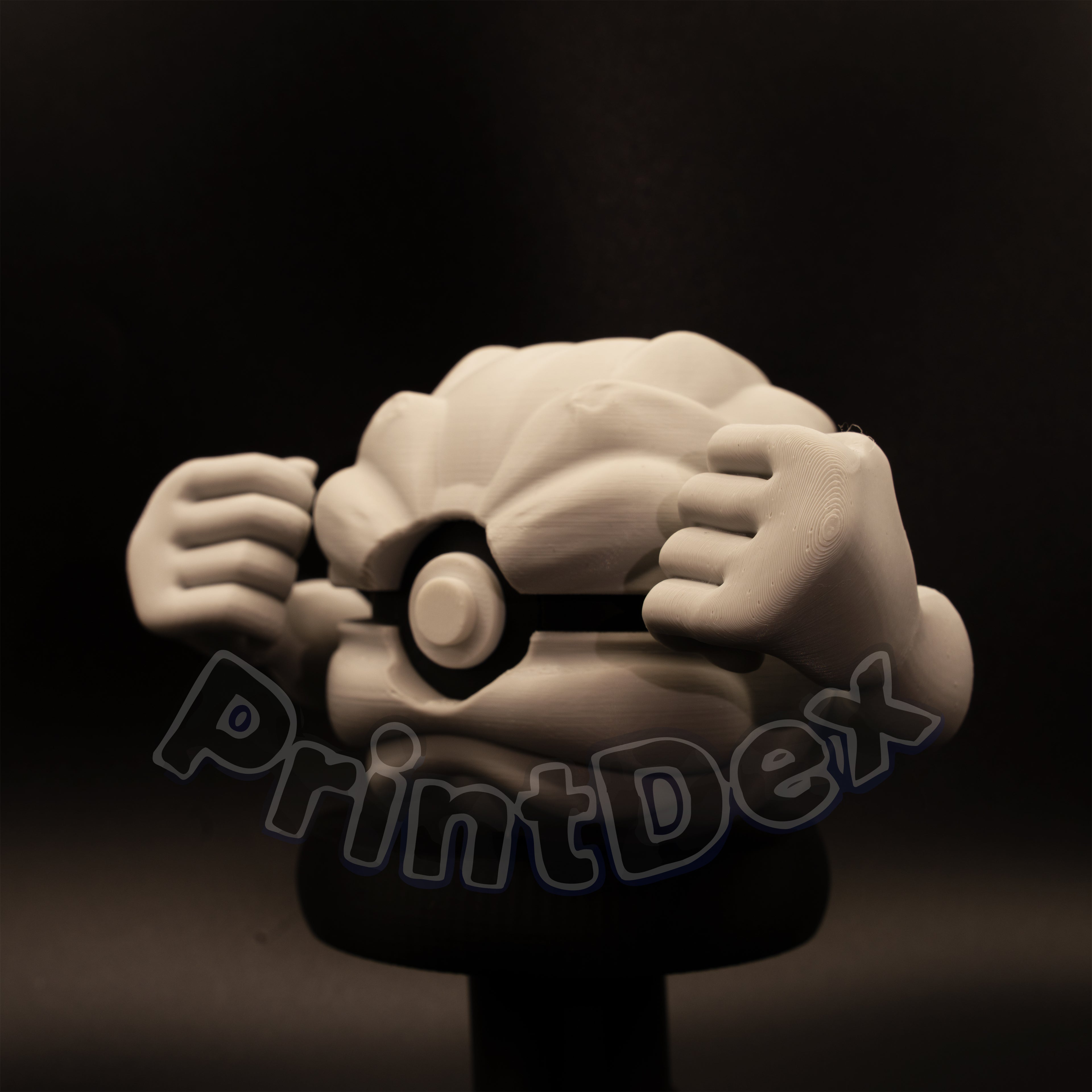 #074 Geodude